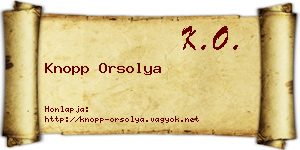 Knopp Orsolya névjegykártya